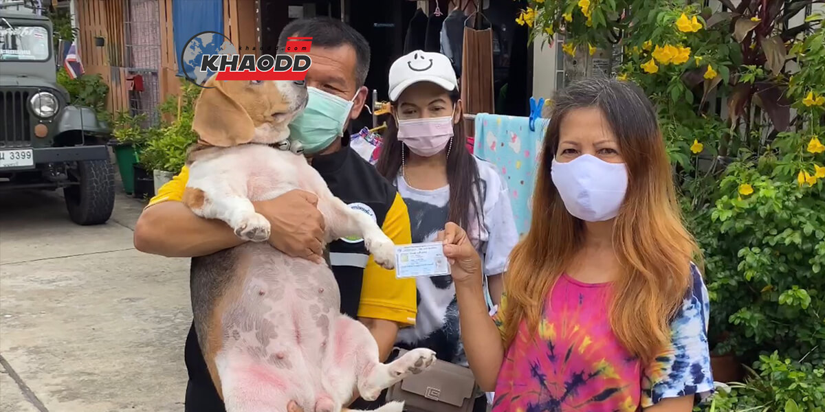 ข่าวทั่วไทย บัตรประชาชนน้องหมา