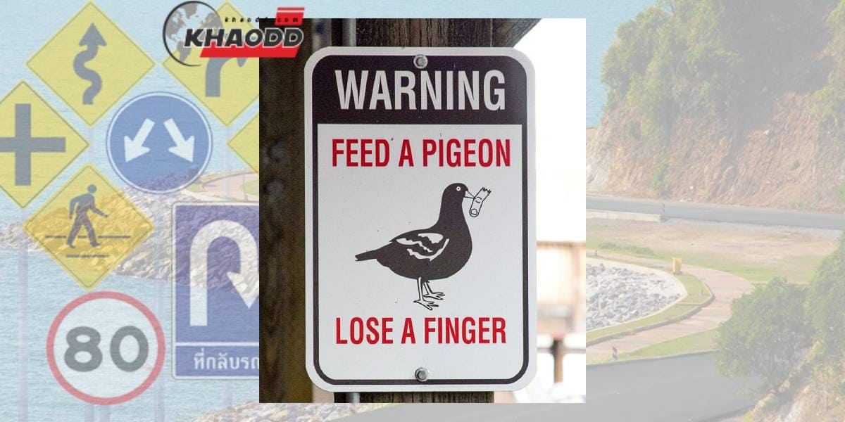 ระวังการให้อาหารนก