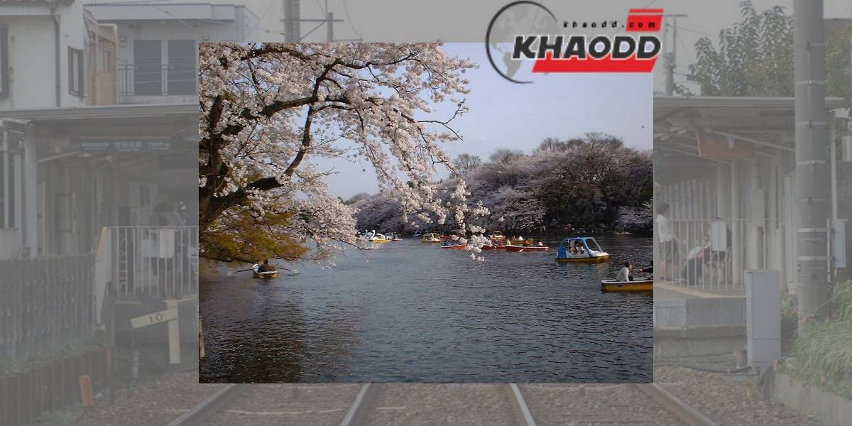 คดีปริศนาที่ 5 ฆ่าหั่นศพยัดถุงทิ้งใน “สวนสาธารณะอิโนะคาชิระ”