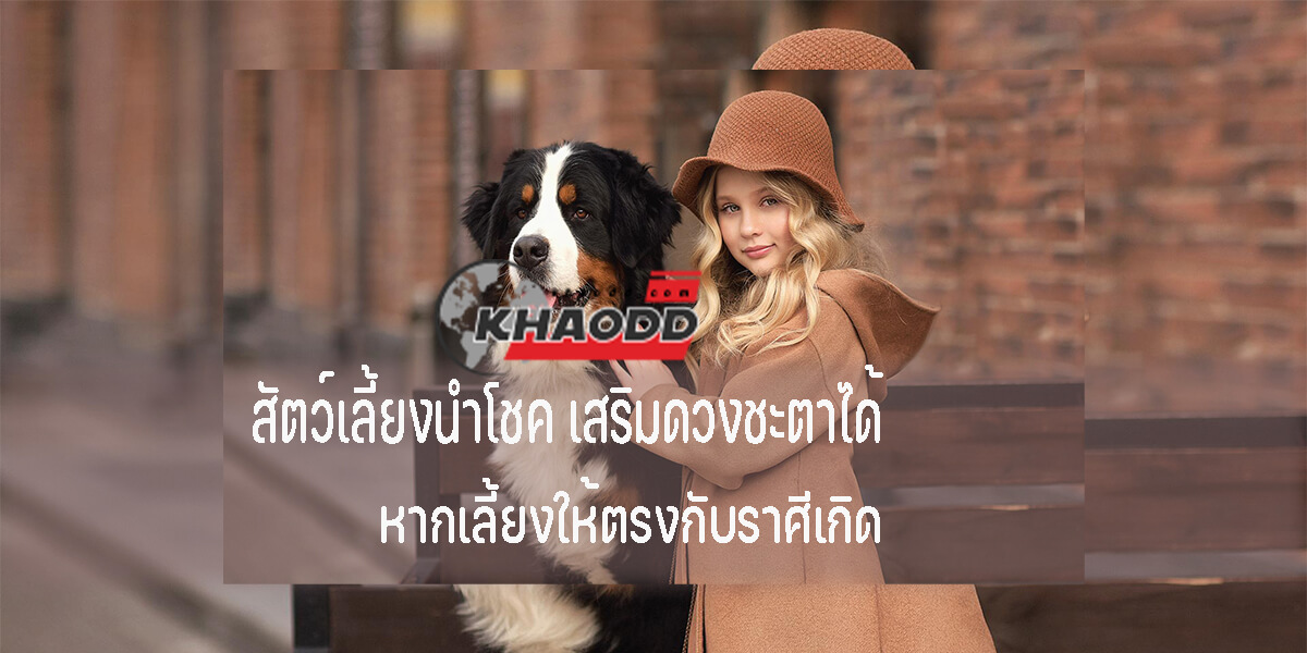 สัตว์เลี้ยงนำโชค