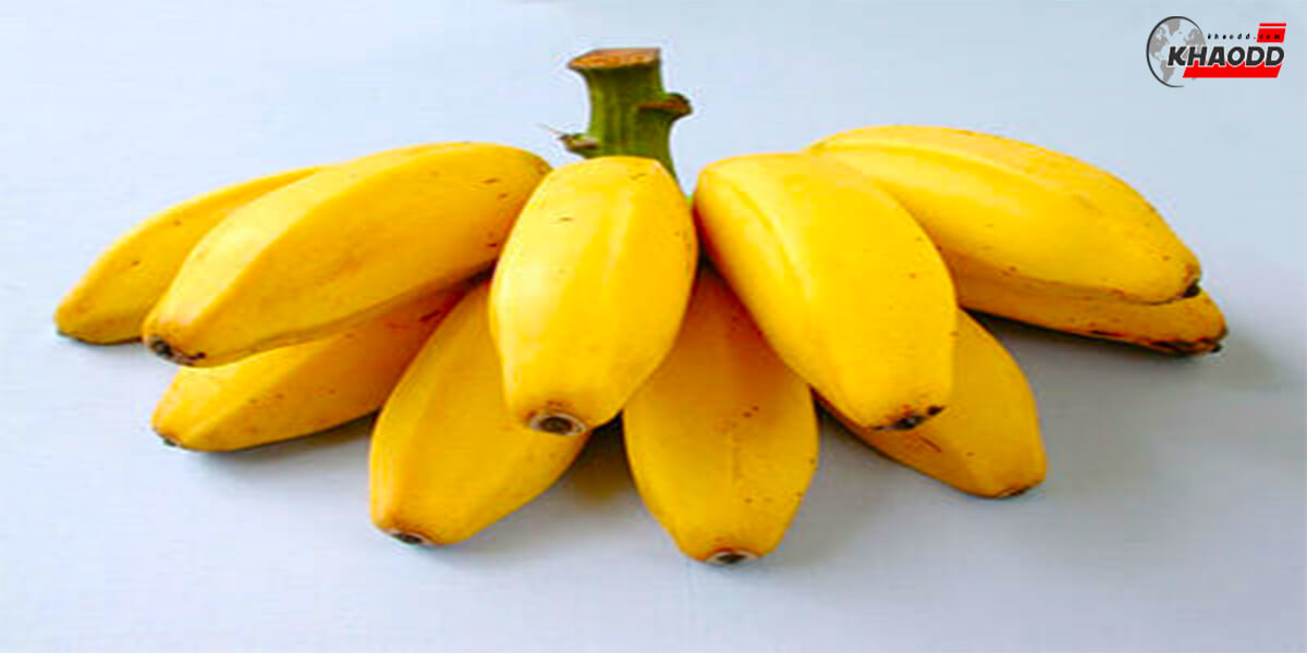 เรื่องกล้วยกล้วยหักมุก