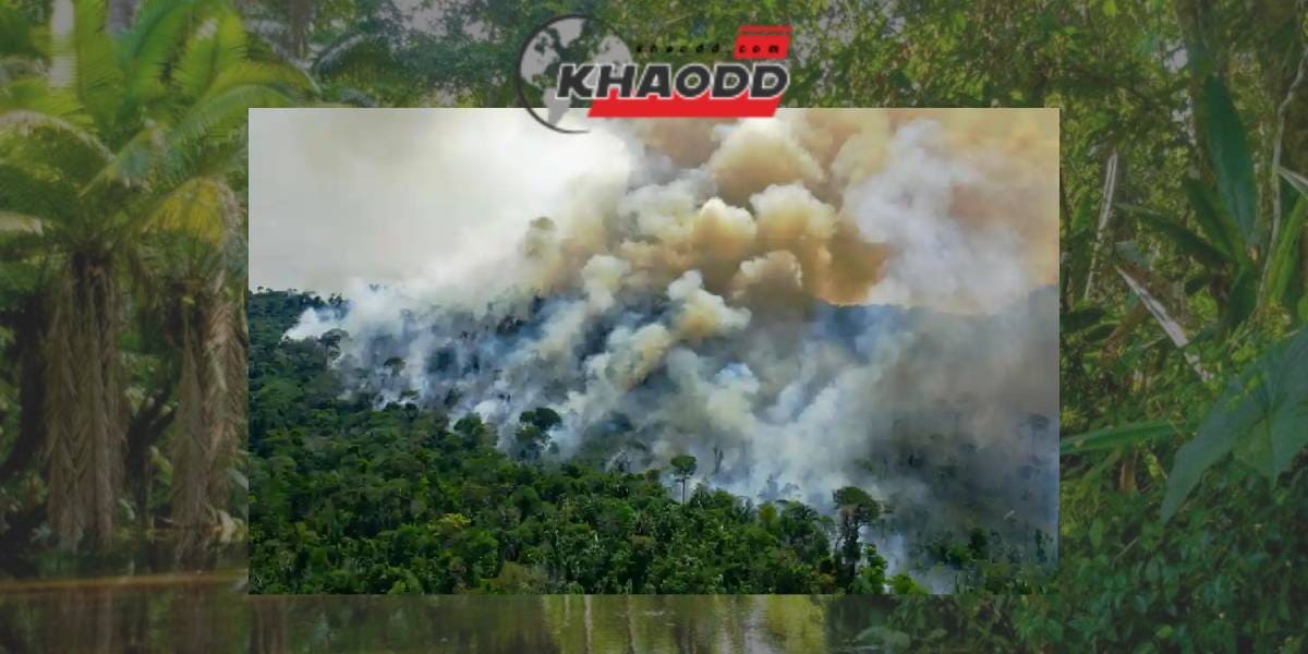 เป้าหมายของเราคือนำอินเทอร์เน็ตไปสู่พื้นที่ชนบทและสถานที่ห่างไกล รวมทั้งช่วยควบคุมไฟและการตัดไม้ทำลายป่าอย่างผิดกฎหมายในป่าอเมซอน