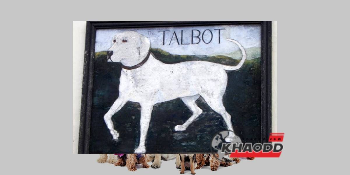 ‘Talbot’ สุนัขตามแบบฉบับจากยุคกลางก็มักจะปรากฎบนเสื้อแขน Chien-gris