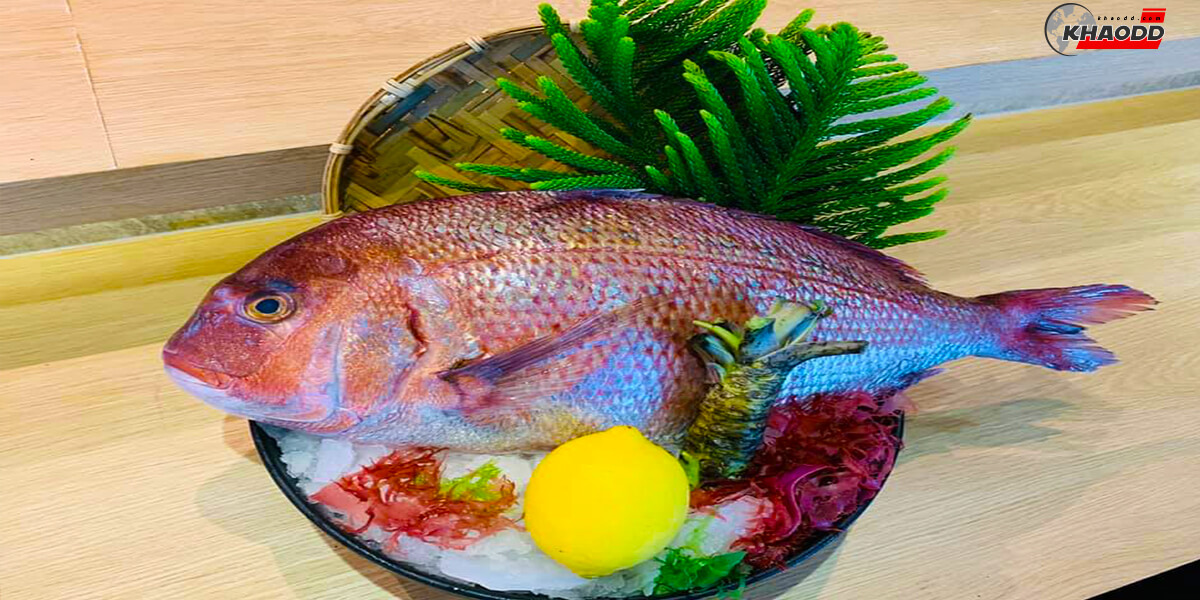 10 ปลาที่อร่อยที่สุด-ปลากะพงแดง
