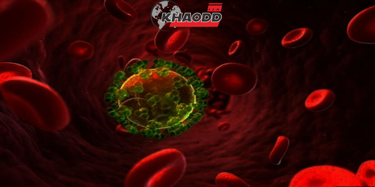 เรื่องน่ารู้ โรคระบาด เชื้อไวรัสโคโรนาโควิด-19 