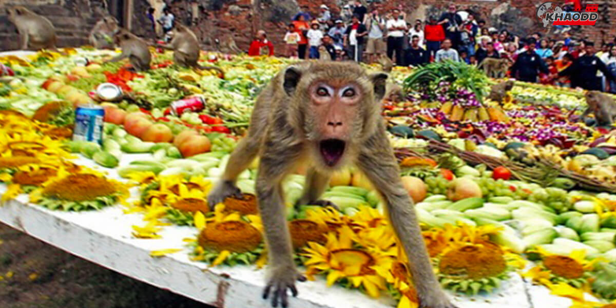 12 ประเพณีสุดแปลก-เทศกาลโต๊ะจีนลิง