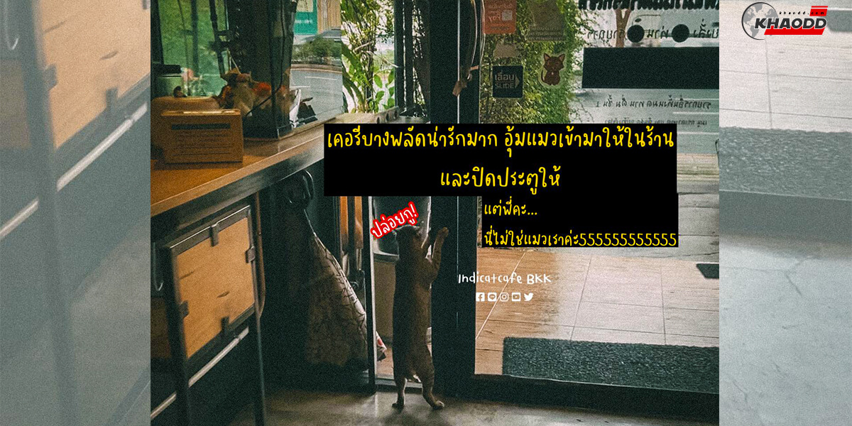 เห็นแมวนอนหน้าร้าน-เลยอุ้มส่งกลับเข้าไปในร้าน