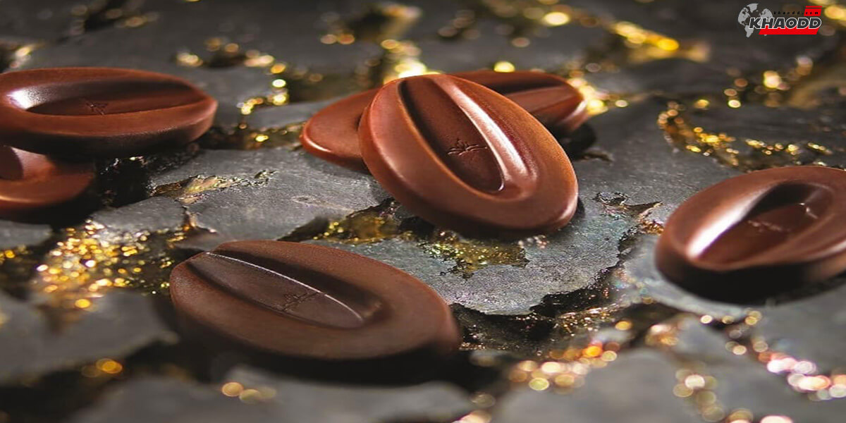 10 ช็อคโกแลตวาเลนไทน์-Valrhona