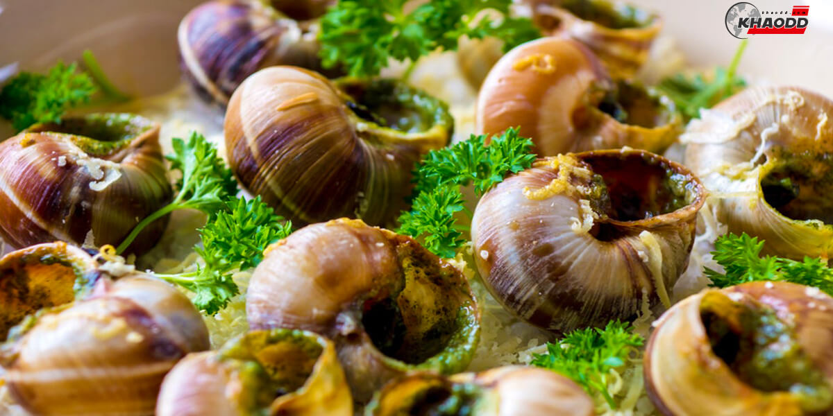 อาหารฝรั่งเศสEscargot (แอ็สการ์โก)