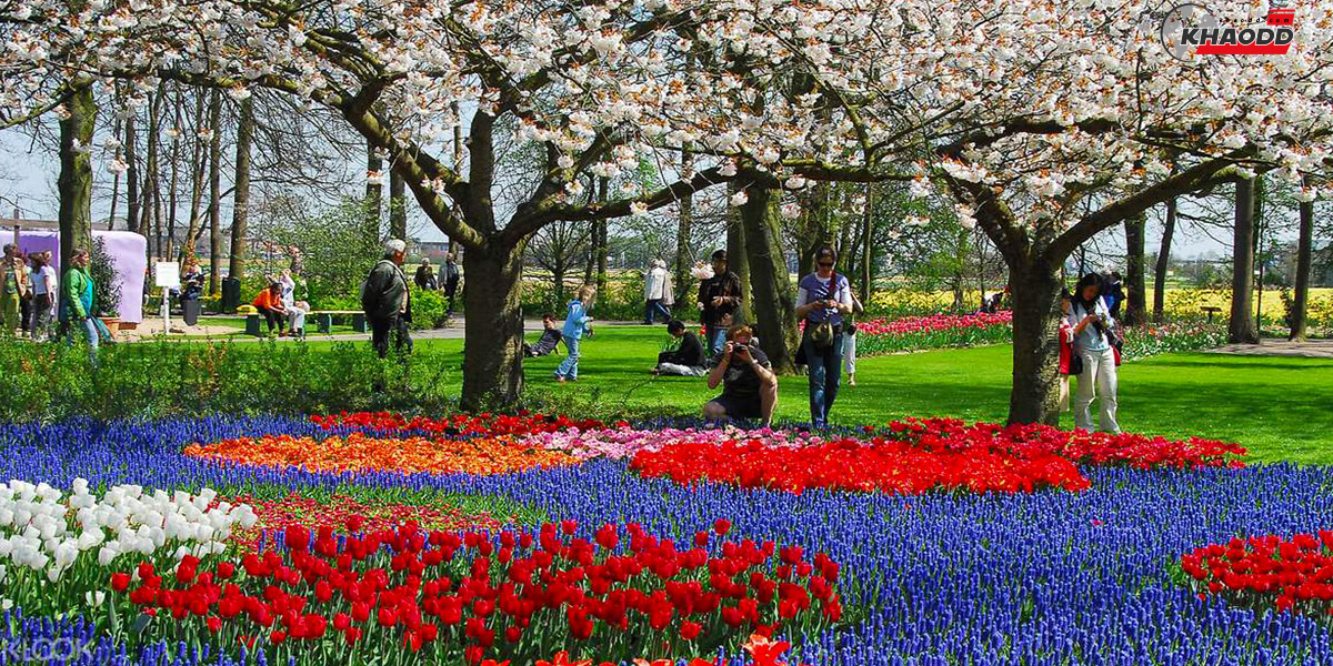 5 สวนดอกไม้สวยทั่วโลก-สวนทิวลิปเคอเคนฮอฟ