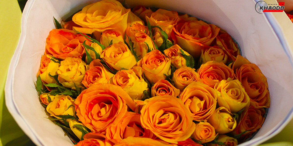 ความหมายของดอกกุกลาบสีส้ม 