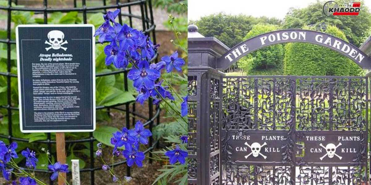 5 สถานที่สุดน่ากลัว-Alnwick Poison Garden