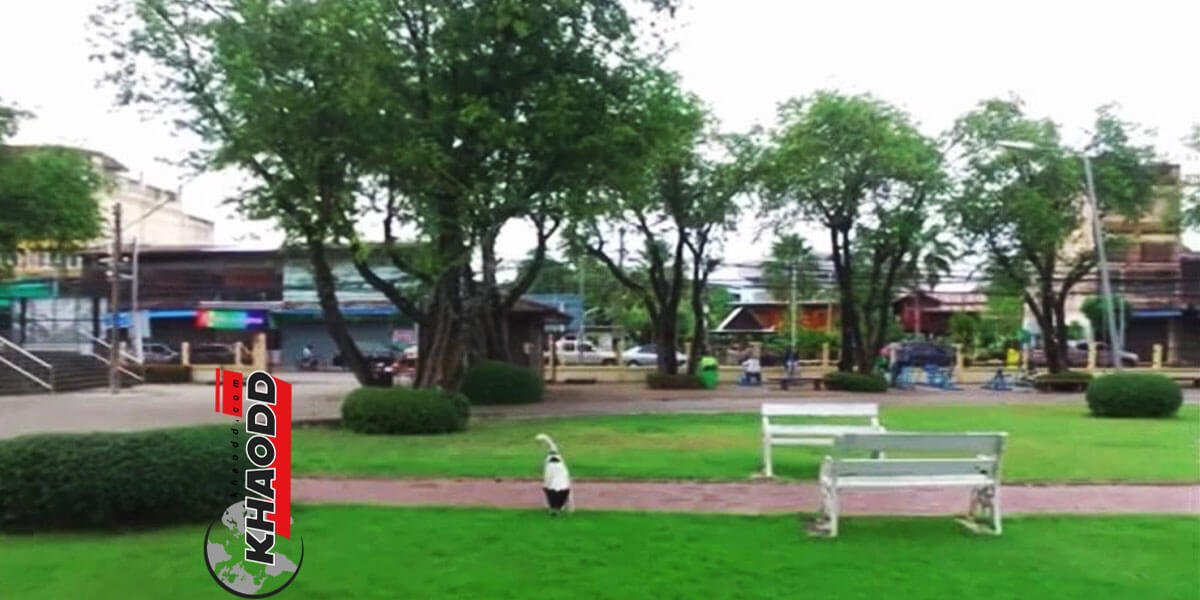ข่าวทั่วไทย โรคจิต ถ้ำมอง สวนสาธารณะเพชรบุระ อำเภอเมืองเพชรบูรณ์