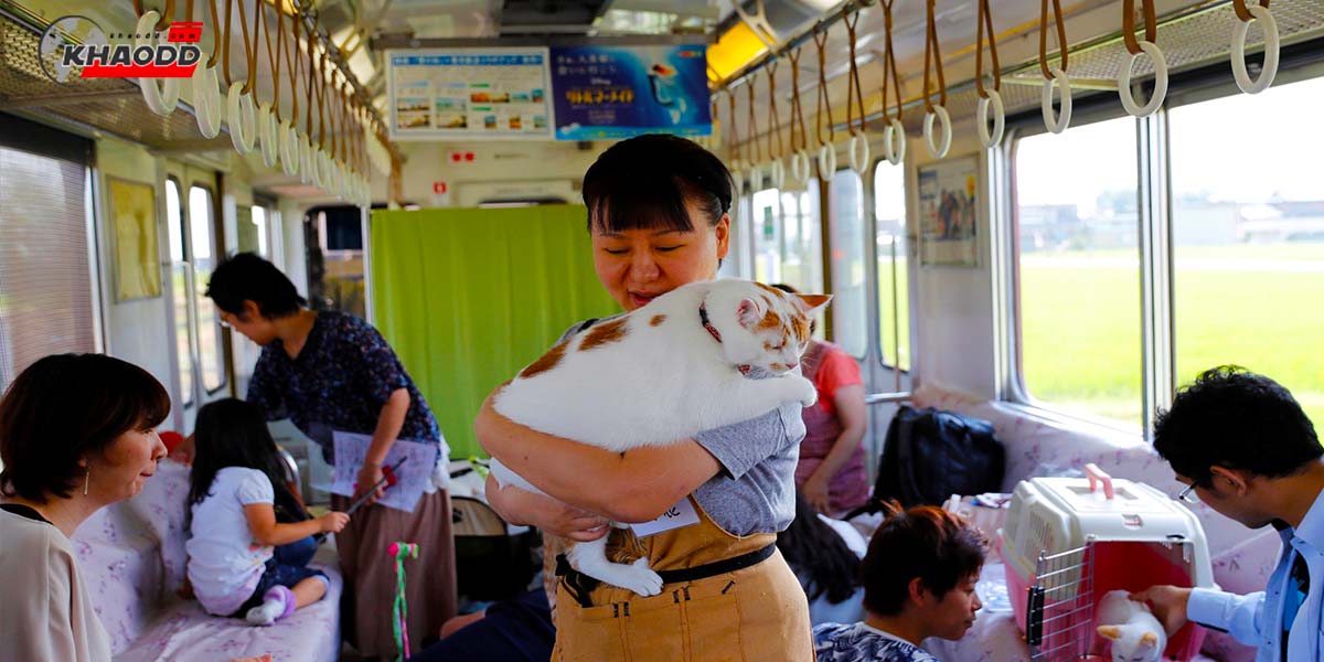 คาเฟ่แมวบนรถไฟที่แรกของโลกในประเทศญี่ปุ่น