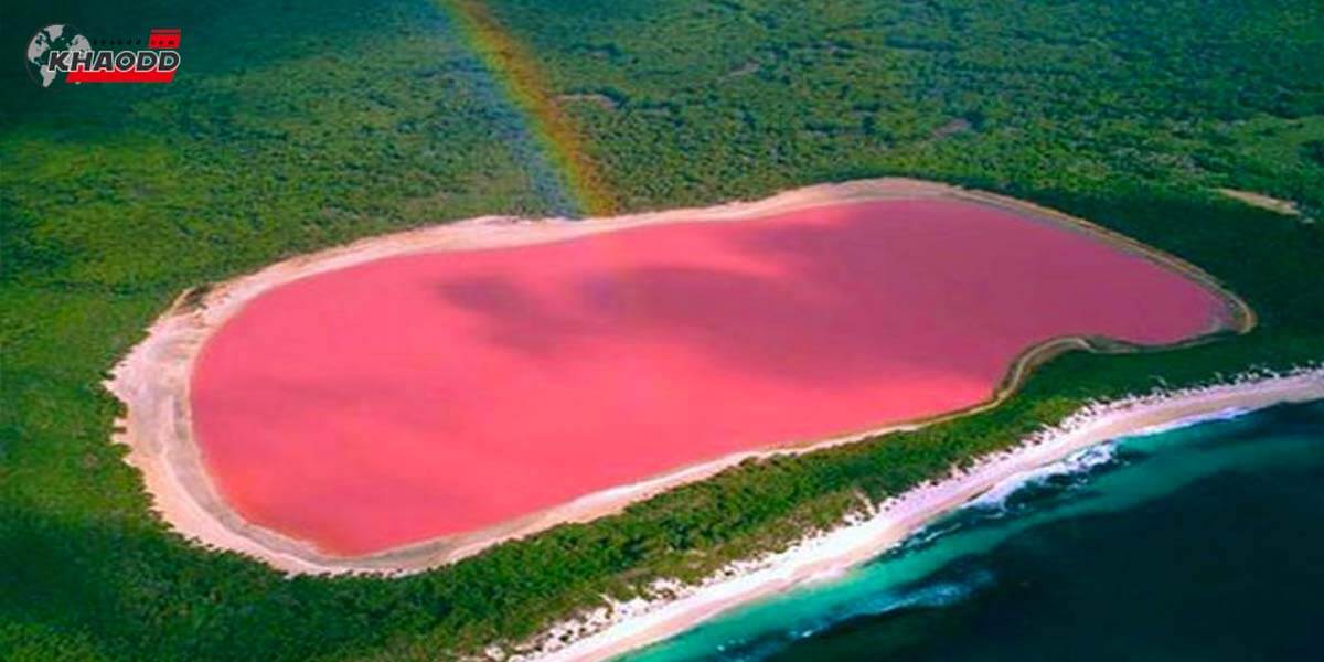 ทะเลสาบฮิลลิเออร์-ทะเลสาบสีชมพู