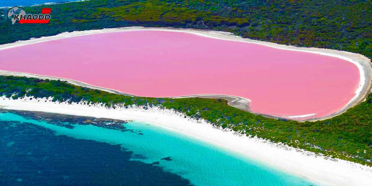 ทะเลสาบฮิลลิเออร์-ค้นพบ Lake Hillier ในปี 1802