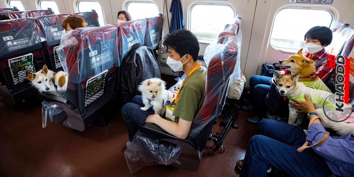 รถไฟชินคันเซ็นขบวน-กรุงโตเกียวเมืองหลวงของประเทศญี่ปุ่น
