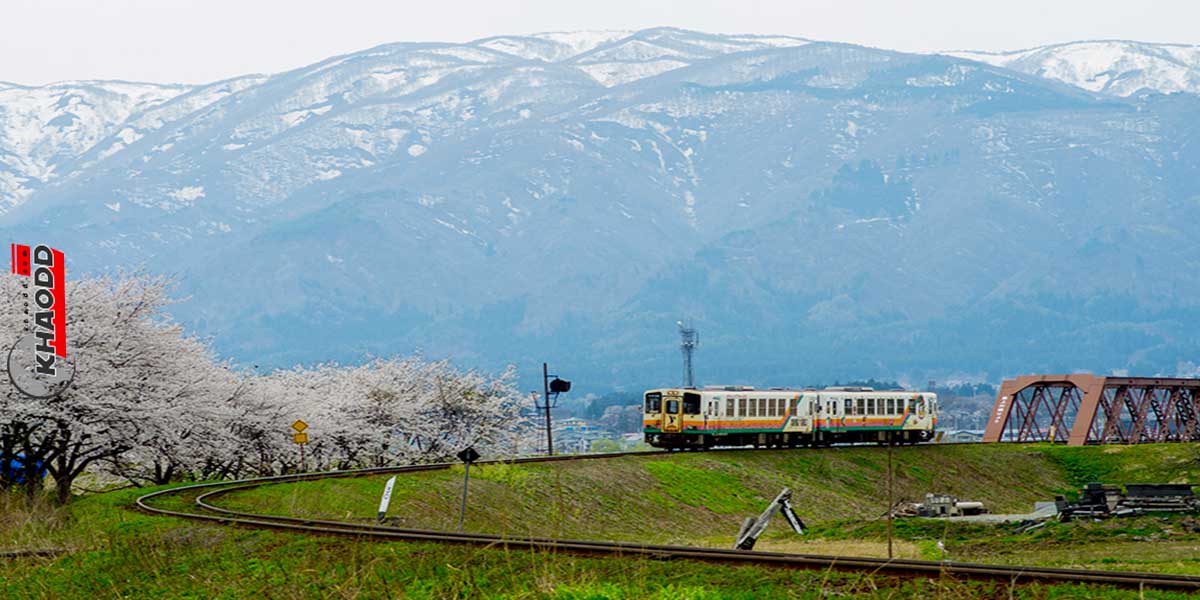 เที่ยวญี่ปุ่นฤดูดอกไม้-ไปนั่งรถไฟสายดอกไม้