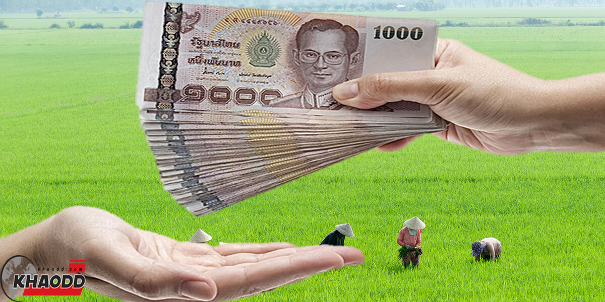 ข่าวทั่วไทย รัฐบาล จ่ายเยียวยาชาวนา 1,000 บาท/ไร่ ไม่เกิน 20 ไร่