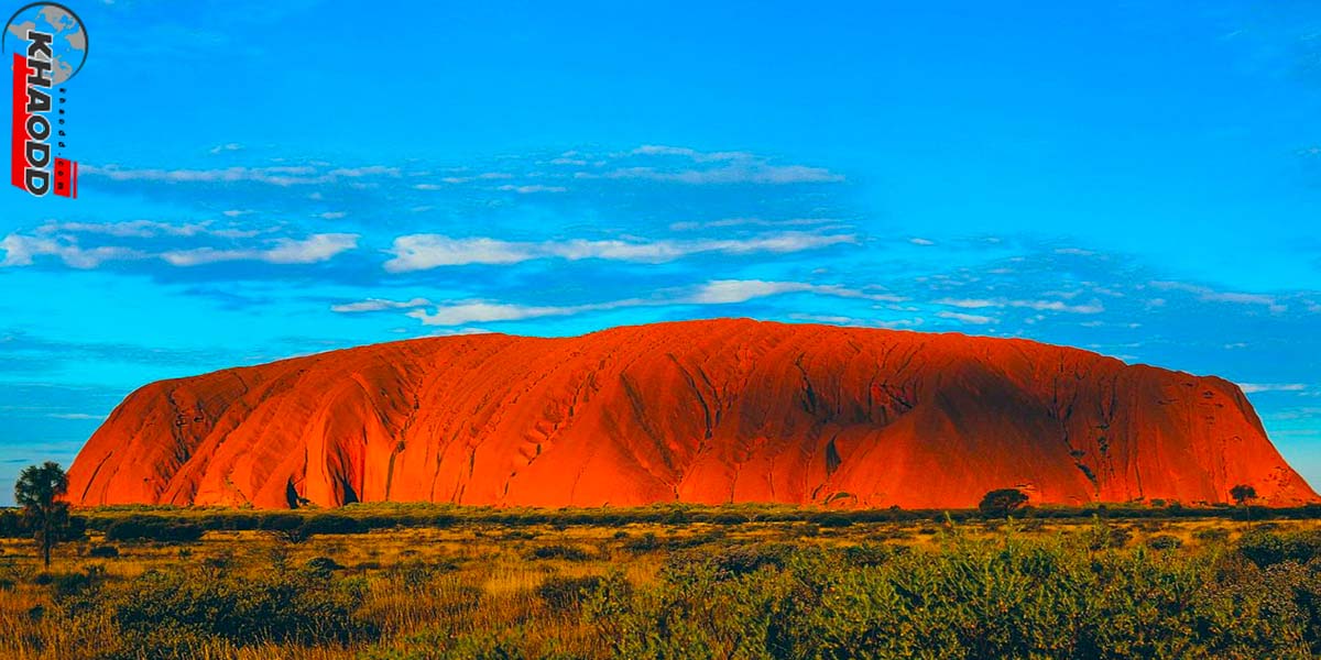 ดูจิงโจ้ที่ออสเตรเลีย-Uluru นอร์เทิร์นเทร์ริทอรี