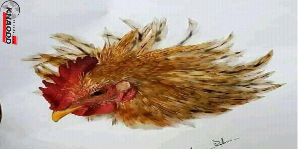 มิติใหม่แห่งการวาดไก่-แสนตลก