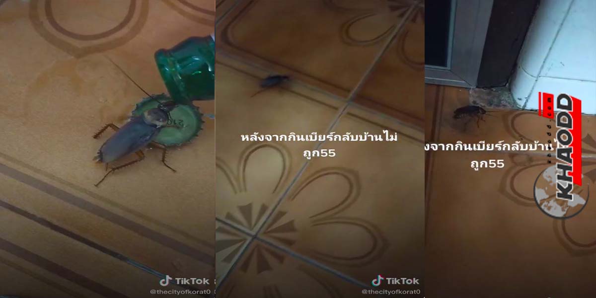 แบ่งเก๊กฮวยให้ปีเตอร์-เมาไหมละ