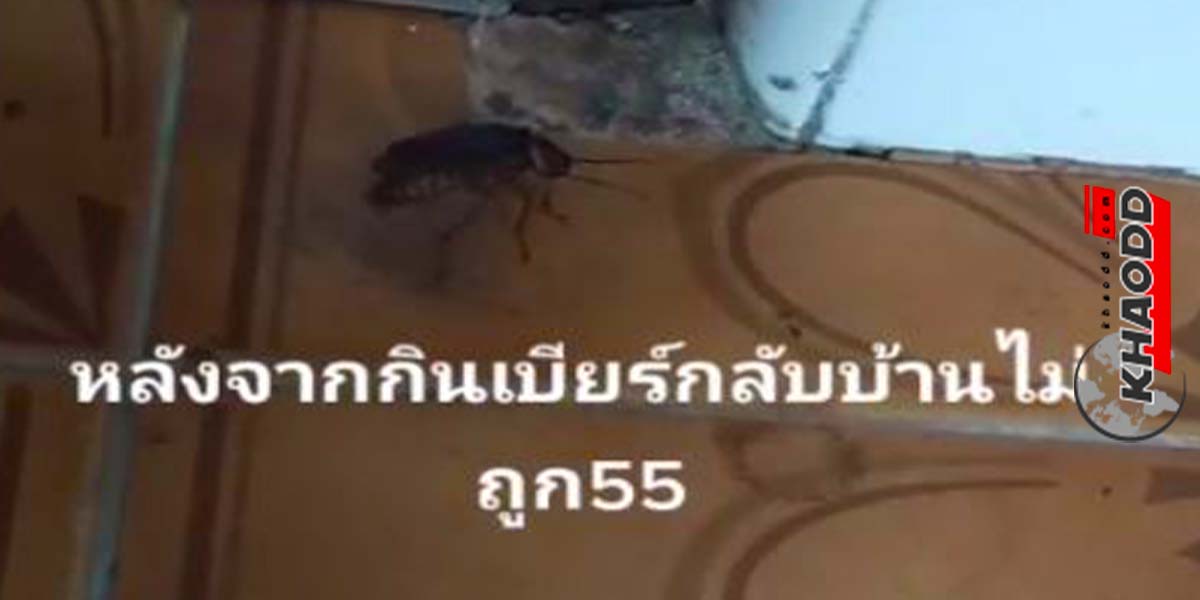 ปีเตอร์เข้ามาร่วมวงกินน้ำเก๊กฮวย
