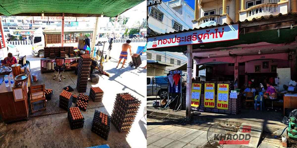 ร้านทองประเสริฐค้าไข่ ณ ตำบลเบิกไพร อำเภอบ้านโป่ง จังหวัดราชบุรี 