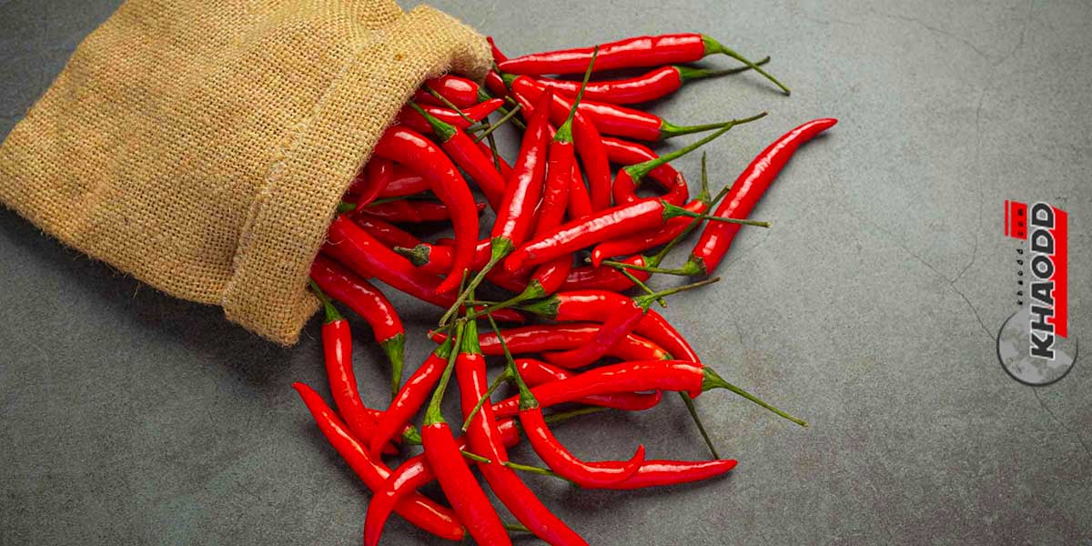 Capsaicin คือตัวที่ทำให้ท้องเสีย