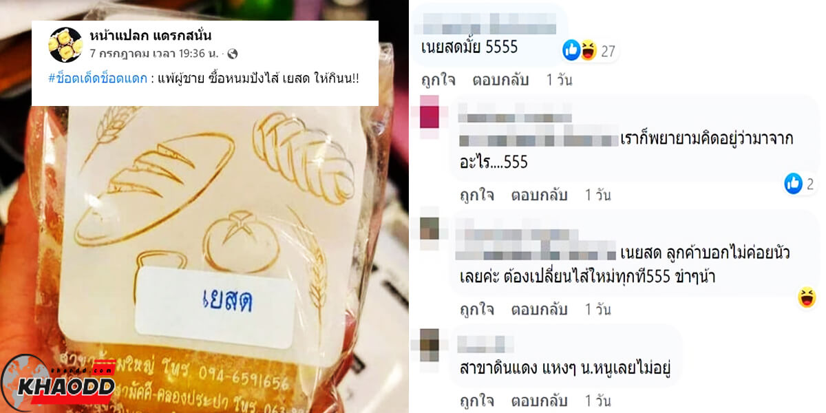 อ่านแล้วสะดุ้ง พิมพ์ตัวหนังสือไม่ครบ ความหมายเปลี่ยนไปเยอะ “นอ หนู”