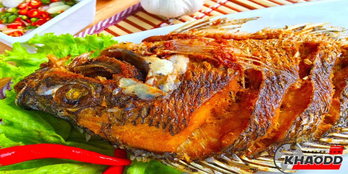 น้ำปลาพริกรสเด็ดกินกับปลาทอด