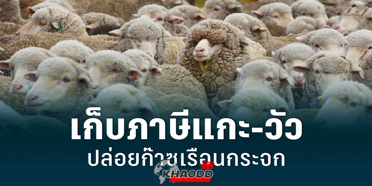 ภาษีเรอ-อาจถูกเรียกเก็บในไม่ช้า