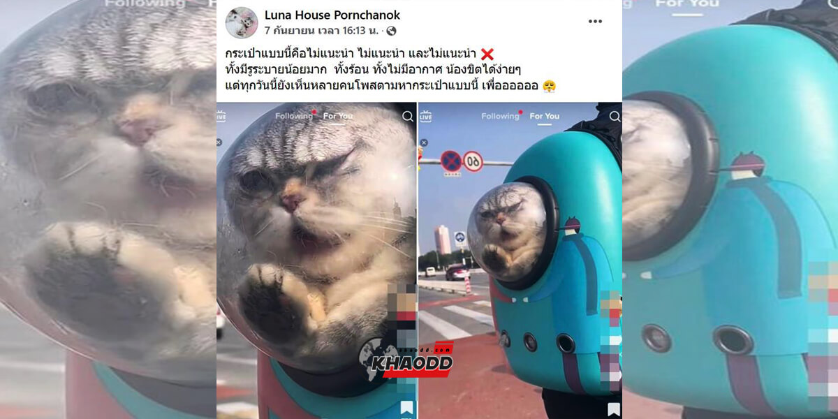 ภาพและข้อมูลจาก เฟซบุ๊ก Luna House Pornchanok 