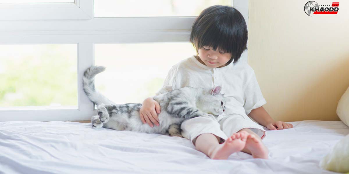 ทำไมเราต้องพูดเสียงสอง-กับเด็กและแมว