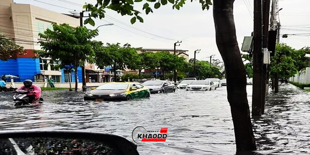 “น้ำท่วม” วัชรพล-สายไหม ฝนถล่มฟ้าทลาย รถยนต์ที่วิ่งตามถนนท่วมไปแล้วครึ่งคัน ส่วนต้นไม้นั้นก็ล้ม
