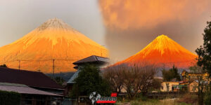 ปรากฏภาพของ “ภูเขาไฟฟูจิ” เหลืองอร่ามหาดูยาก