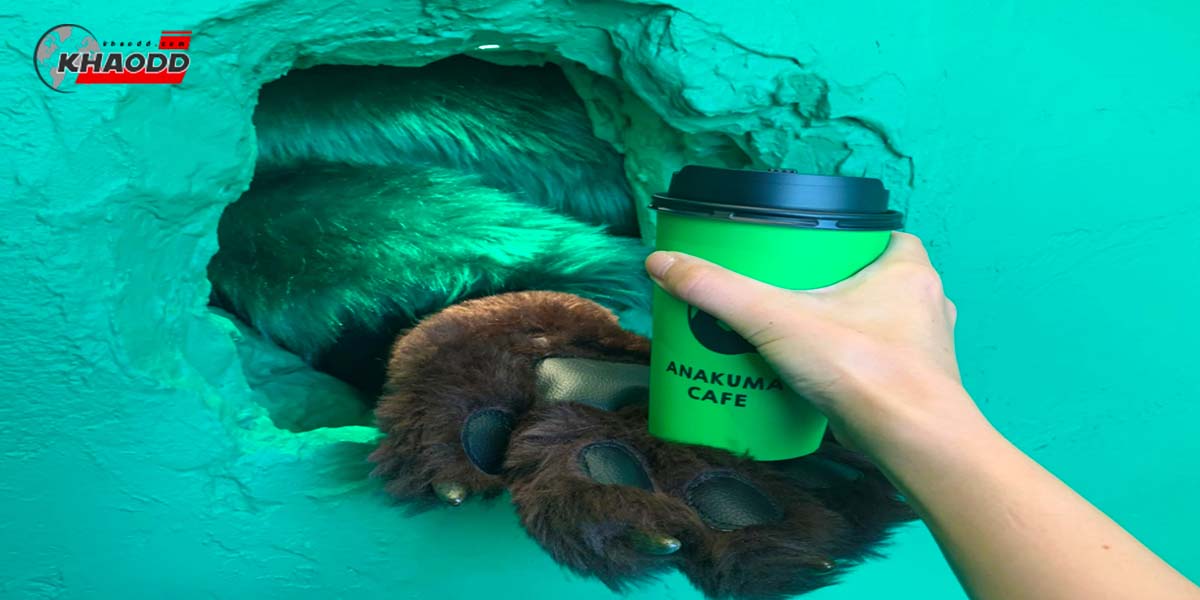 หมีหนีออกจากป่ามาขาย กาแฟ