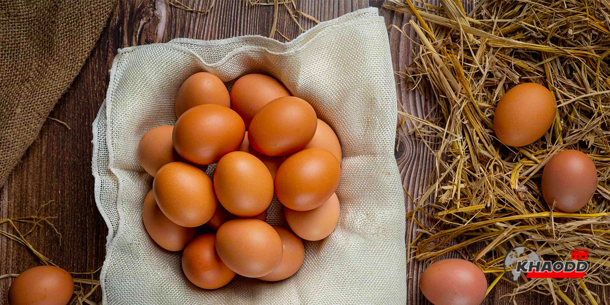 ไข่ (Egg) มีประโยชน์และโทษอย่างไร