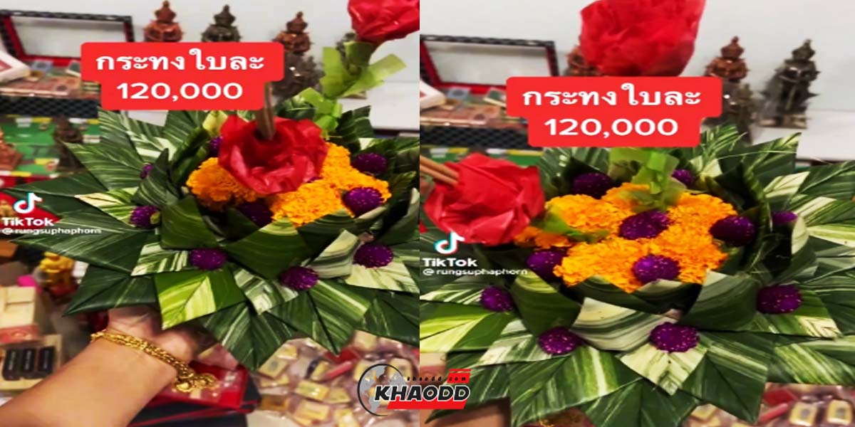 ควันหลงวันเพ็ญเดือน 12 ปี 2565 กระทงกล้วยด่าง มูลค่า 120,000 บาท เจ้าของเผยหวังซื้อมาทำกำไรจากปีที่แล้ว ปัจจุบันราคาร่วง