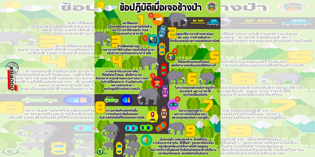 ส่วนข้อห้ามเวลาขับรถเจอช้างบนถนนที่ Khao Yai National Park มีทั้งหมด 9 ข้อ ดังนี้