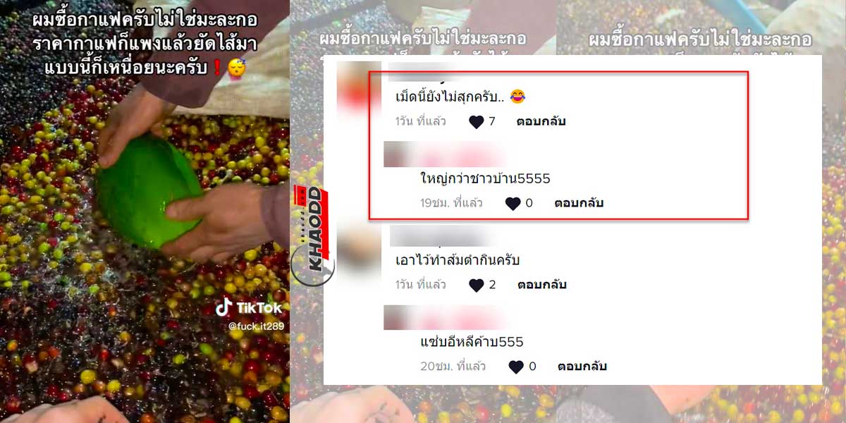 หนุ่มรีวิว “เมล็ดกาแฟ” ถูกยัดไส้มะละกอมาให้หนักแบบไม่ต้องถาม