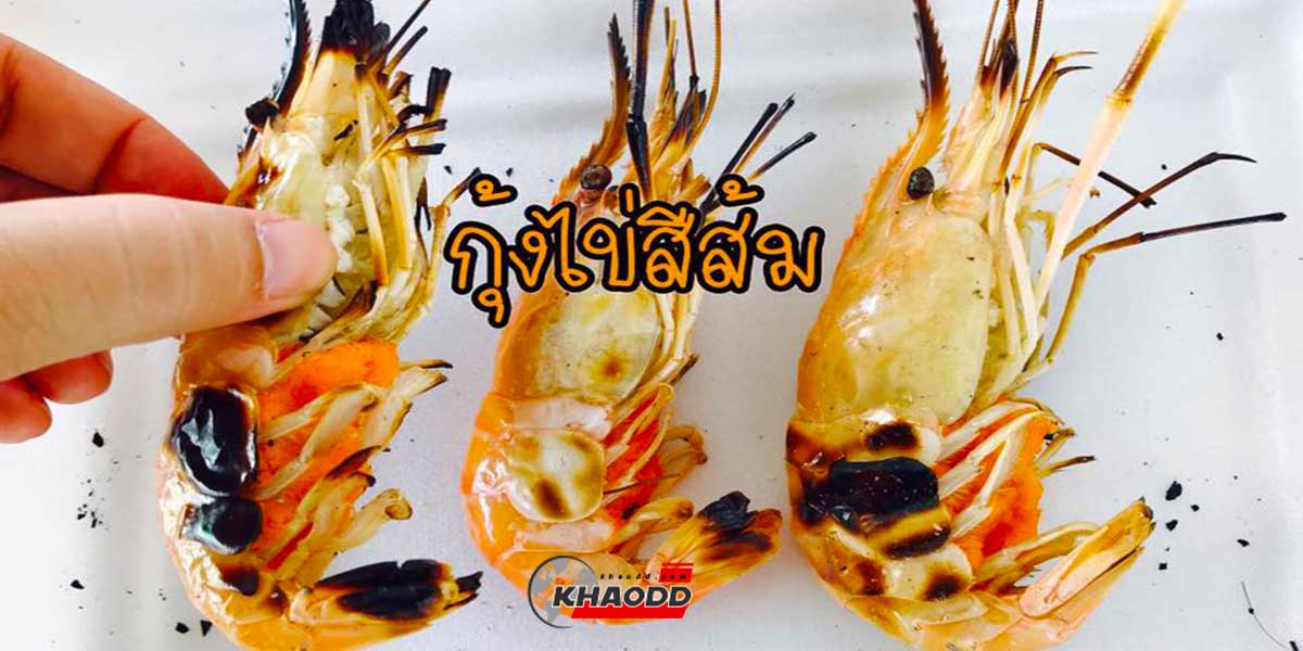 มันคือ “ลูกกุ้ง” ที่ใกล้ฟักออกมาเป็นตัวกุ้งจิ๋ว