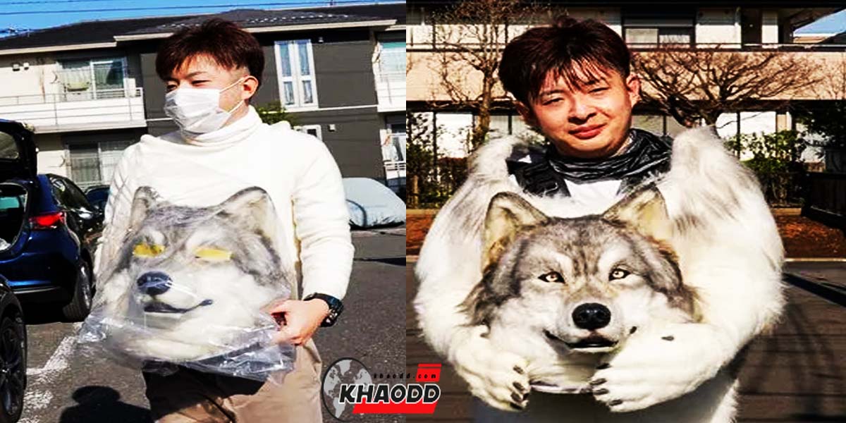 เปิดโฉมหน้า วิศวกรหนุ่มวัย 32 ปี ชาวญี่ปุ่น ผู้ที่ยอมควักเงินล้านเพื่อที่จะเป็นหมา ซึ่งเขาเลือกที่จะเป็นสายพันธุ์คอลลี่ "โทรุ อูเอดะ"