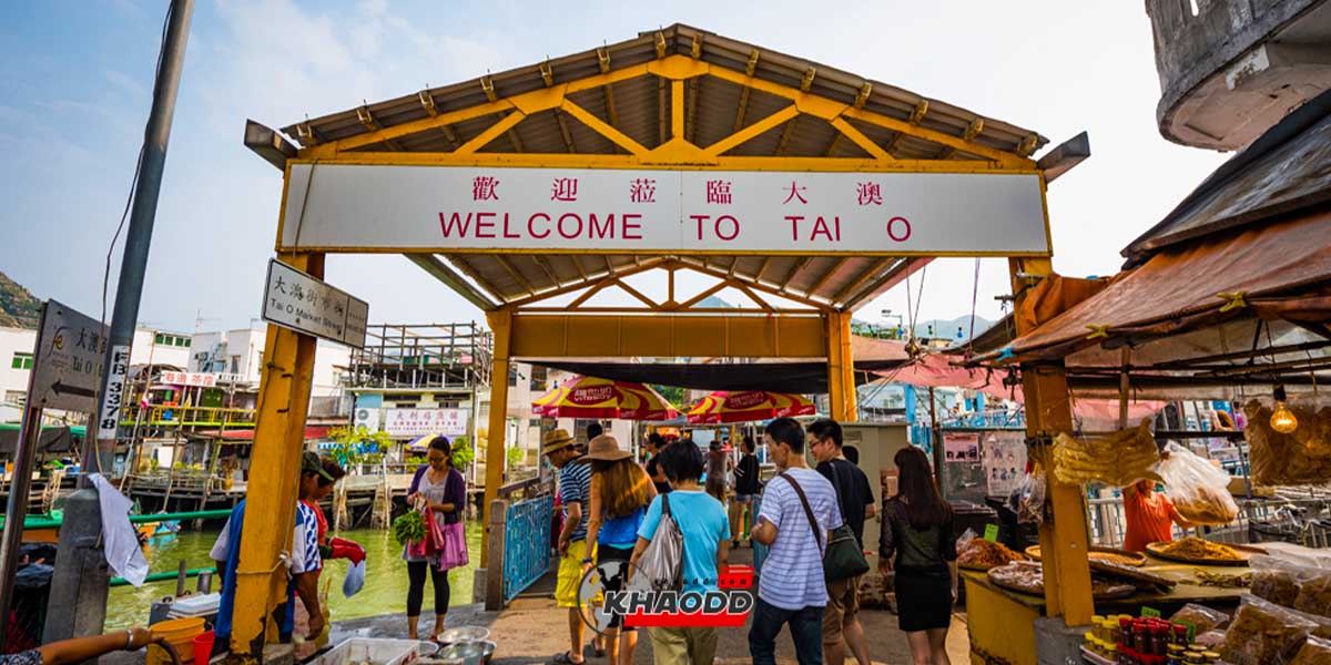 10 ที่เที่ยวฮ่องกง หมู่บ้านชาวประมงไทโอ Tai O Fishing Village