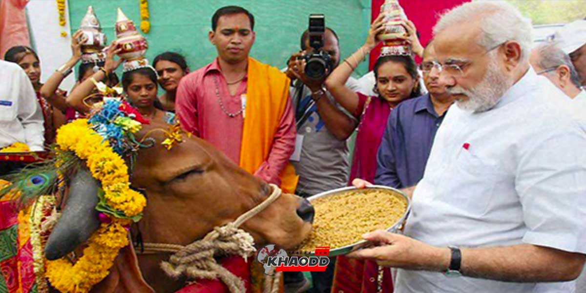 คนอินเดียกินเนื้อวัว เป็นเรื่องปกติ แม้ว่า “สัตว์ศักดิ์สิทธิ์” ในอินเดียพวกเขาก็กิน