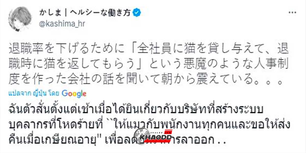 ทาสแมวถูกใจ บริษัทญี่ปุ่นผุดไอเดียให้เอา “แมว” ไปเลี้ยง