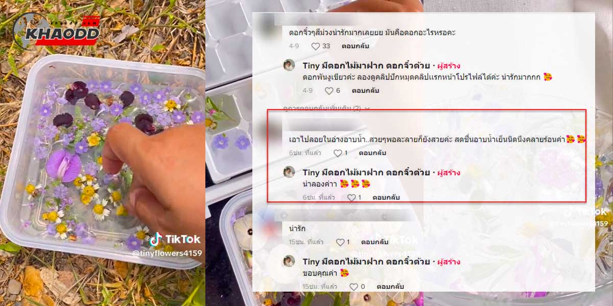 พาไปชมวิธีทำ “น้ำแข็ง” จากดอกไม้ริมทาง เอาไว้กินในฤดูร้อน