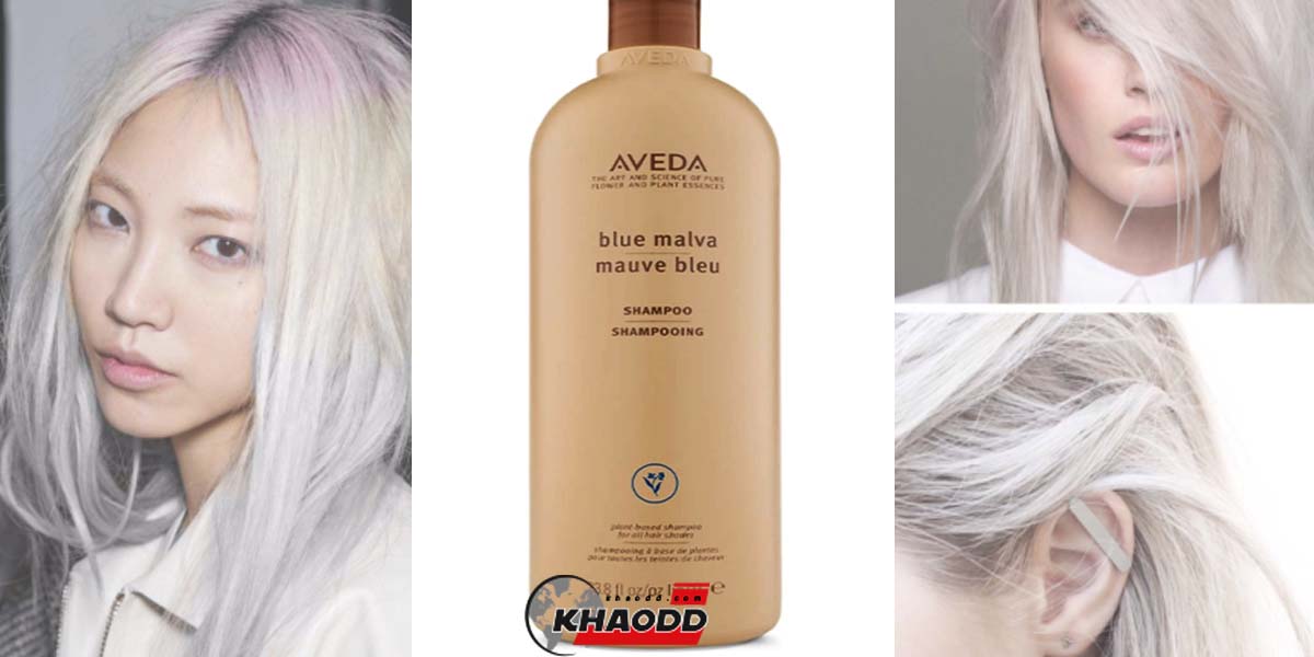 CLAIROL Shimmer Lights Blonde & Silve Shampoo มูลค่า 1,150 บาท
