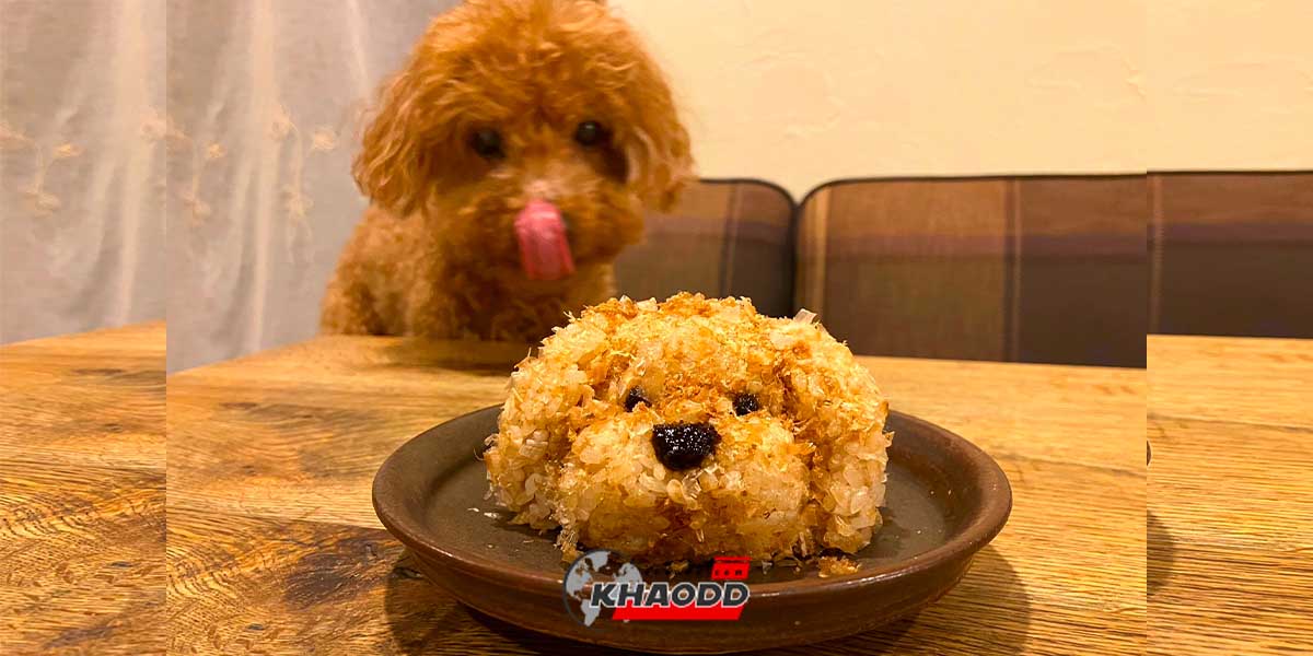ชาวญี่ปุ่นทำ ข้าวปั้น “รูปหมา” เหมือนกันยังกับ แกะ เอ๊ย หมา!