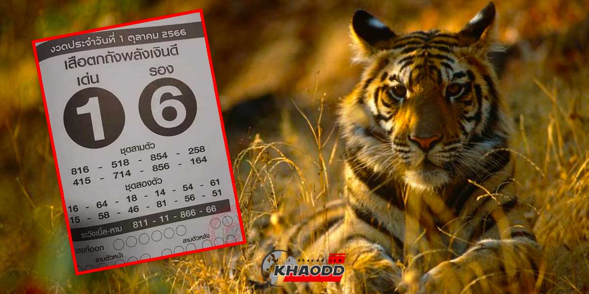 เลขเด็ดเสือตกถังพลังเงินดีงวดวันอาทิตย์ที่ 1 เดือนตุลาคม 2566